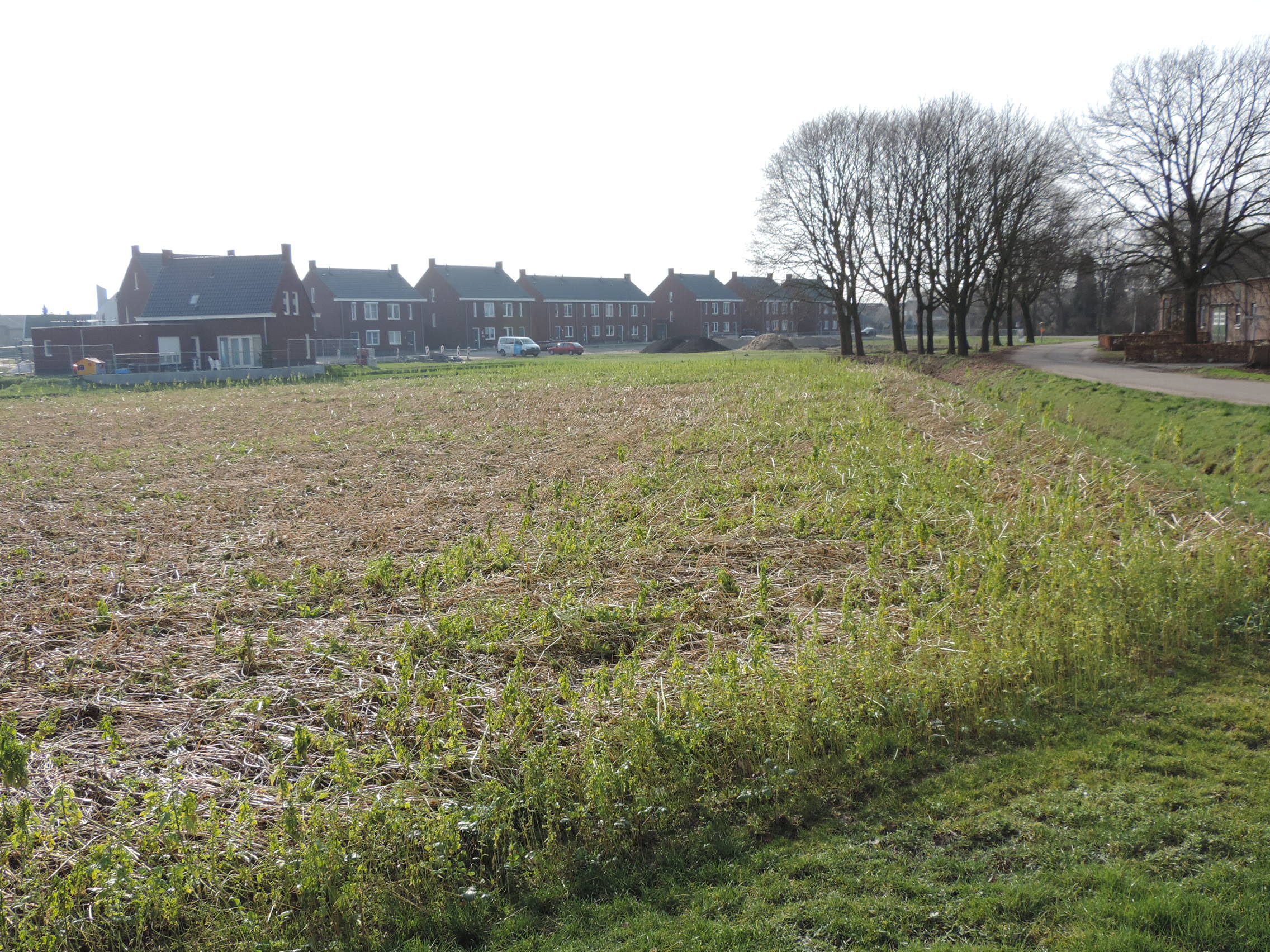 nebuvast-gennep-vastgoed-ontwikkeling-foto15-beleggingsmaatschappij-toine-schepers-wonen-in-de-steeg-leunen-venray-maasvallei-netwerk