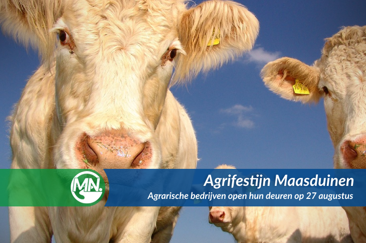 Agrifestijn: Agrarische bedrijven in Maasduinen openen deuren